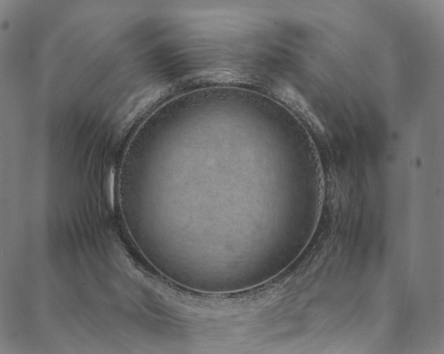 X0000090450014200707131240