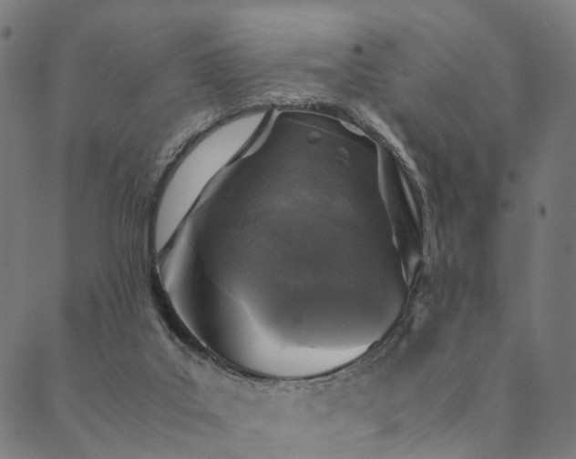 X0000090450019200707131240