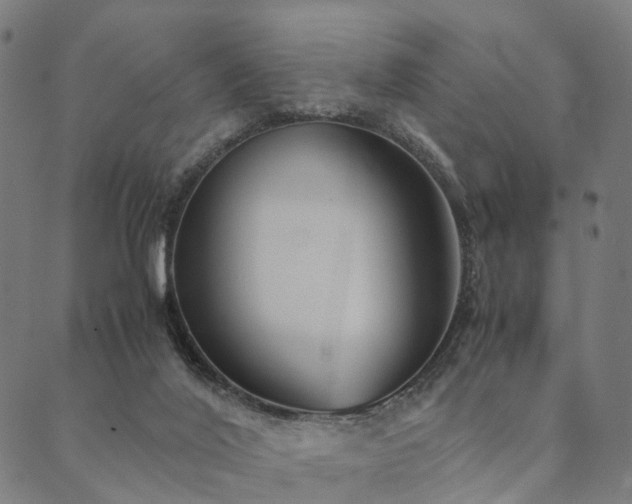 X0000090450020200707131240