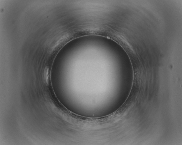 X0000090450024200707131239
