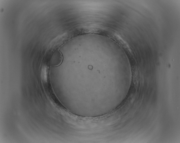 X0000090450026200707131239