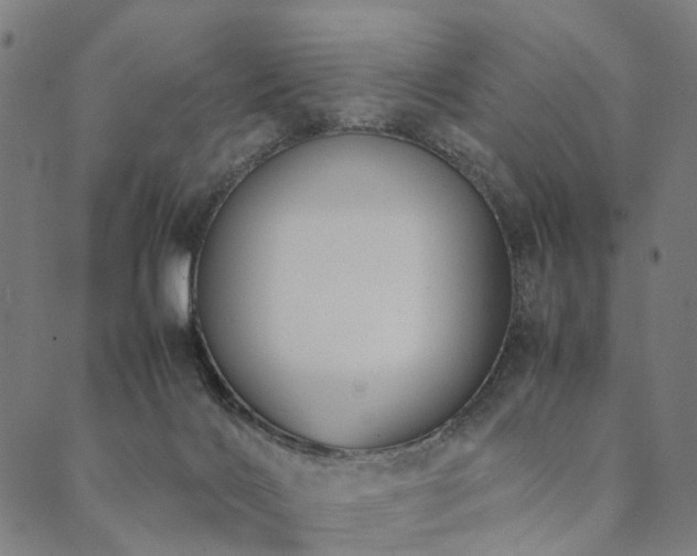 X0000090450028200707131239