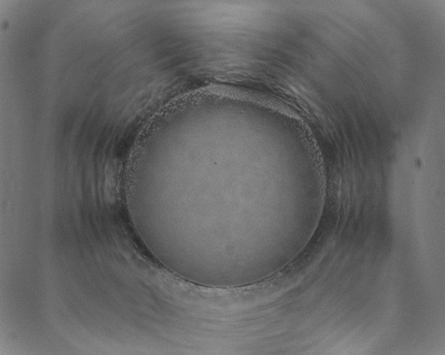 X0000090450030200707131239