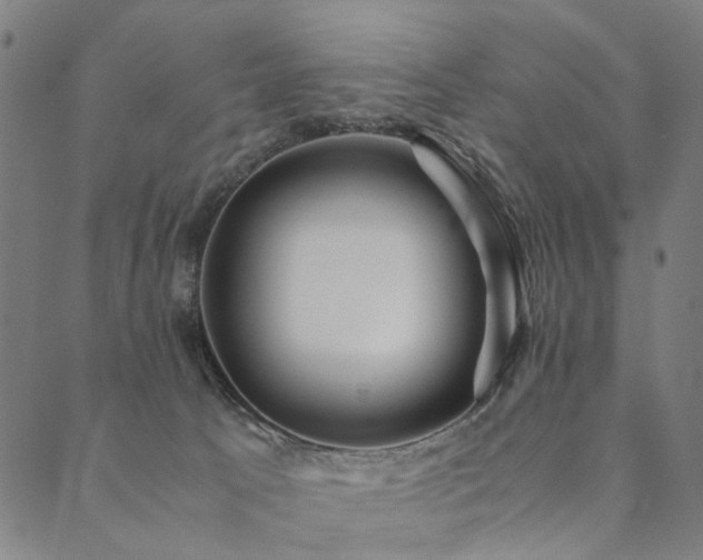 X0000090450033200707131239