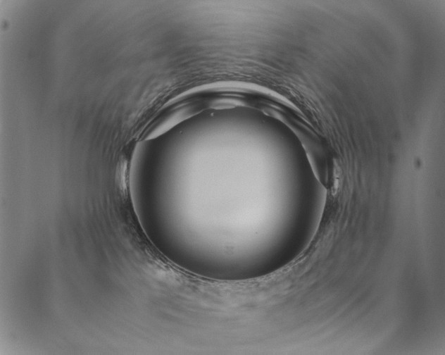 X0000090450041200707131239