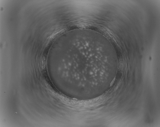 X0000090450043200707131239