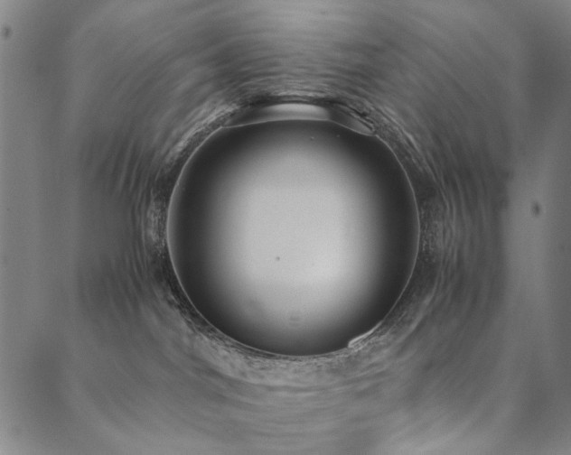 X0000090450044200707131239