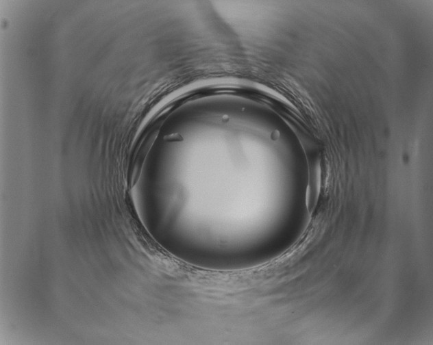 X0000090450045200707131239