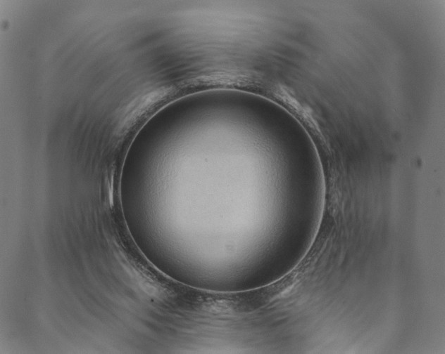 X0000090450062200707131238