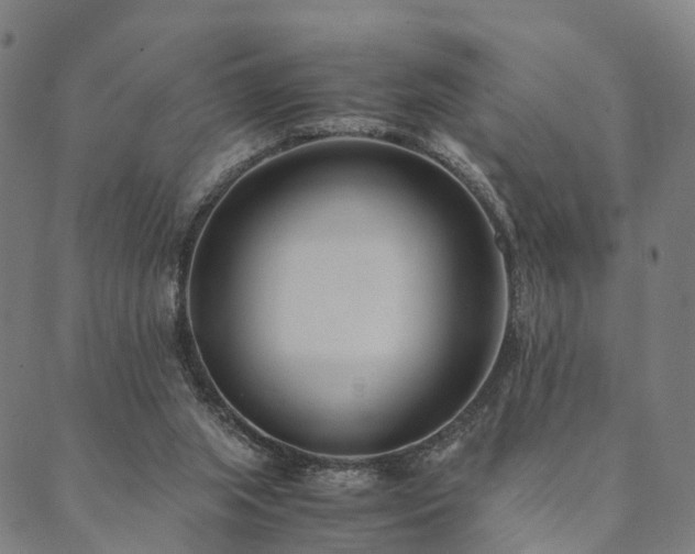X0000090450063200707131239