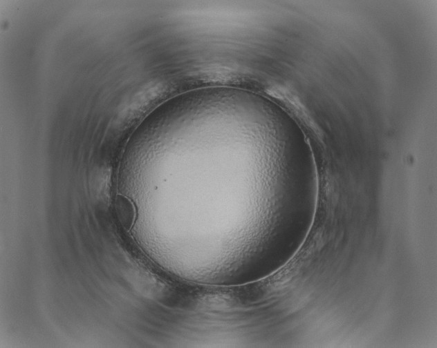 X0000090450066200707131239