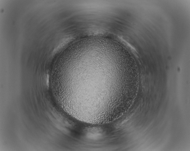 X0000090450067200707131239