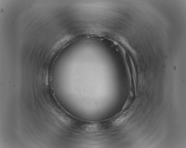 X0000090450068200707131239