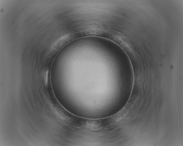 X0000090450070200707131239