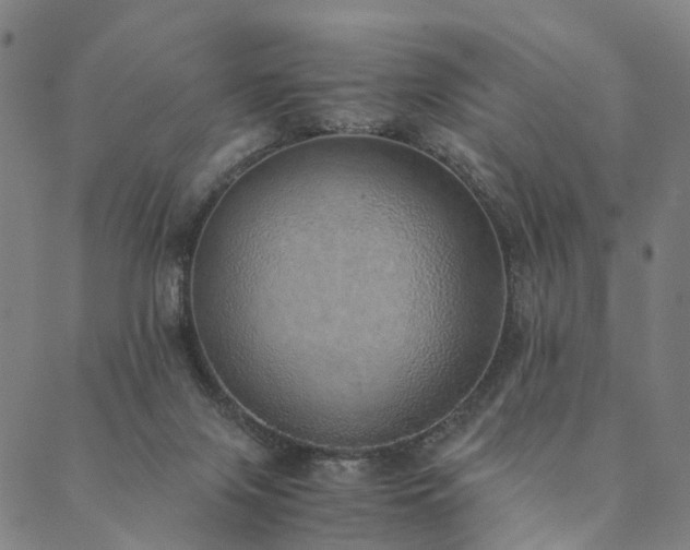 X0000090450071200707131239