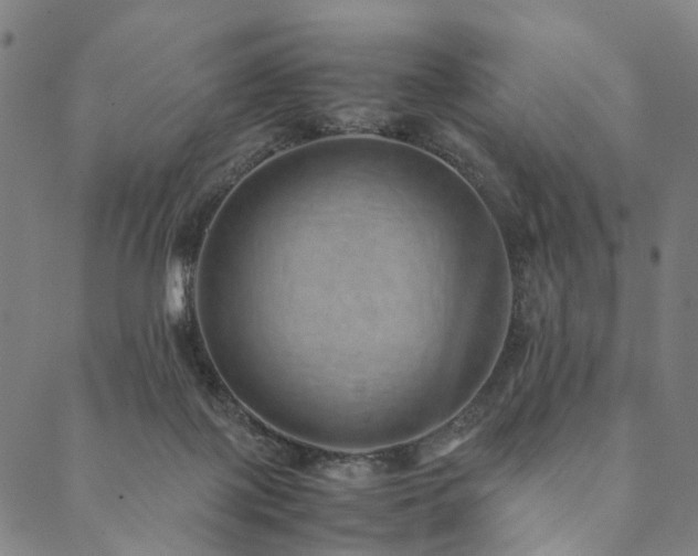X0000090450075200707131239