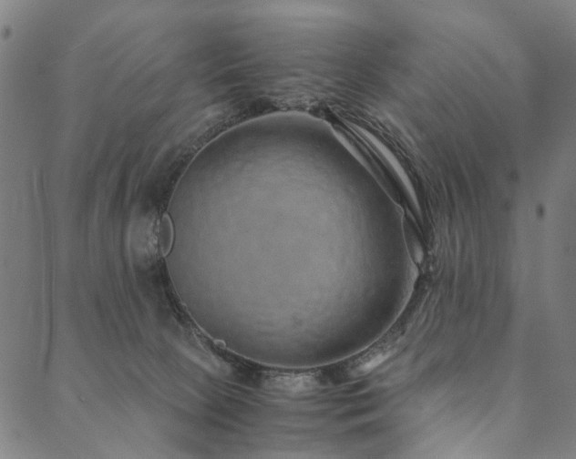 X0000090450081200707131239
