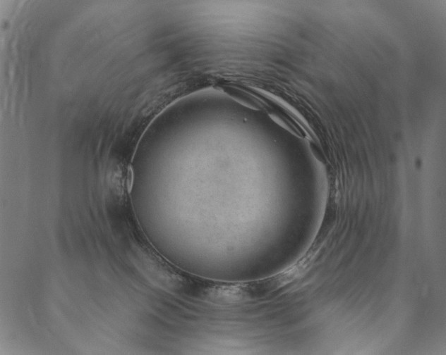 X0000090450086200707131239