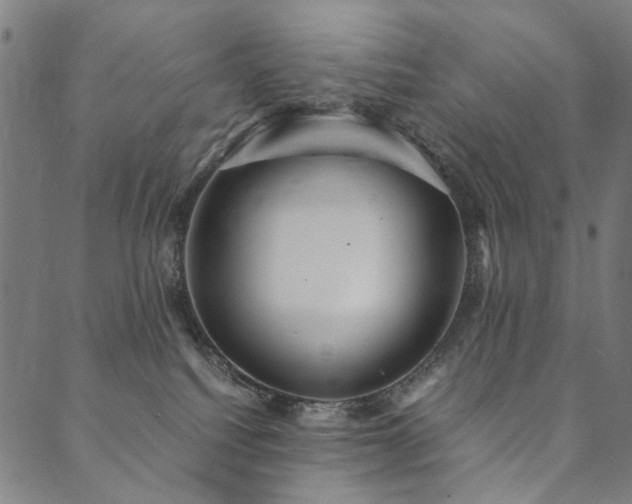 X0000090450088200707131239
