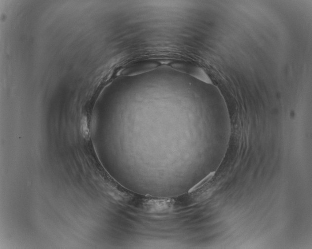 X0000090450089200707131239