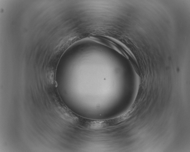 X0000090450090200707131239