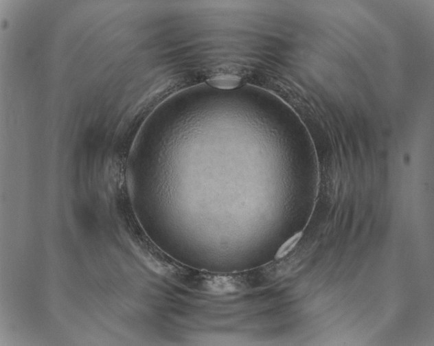 X0000090450091200707131239