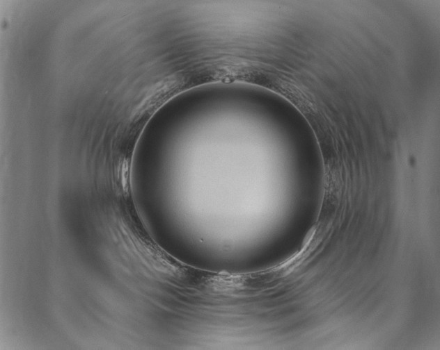 X0000090450094200707131239