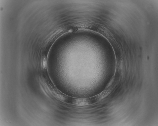 X0000090450095200707131239