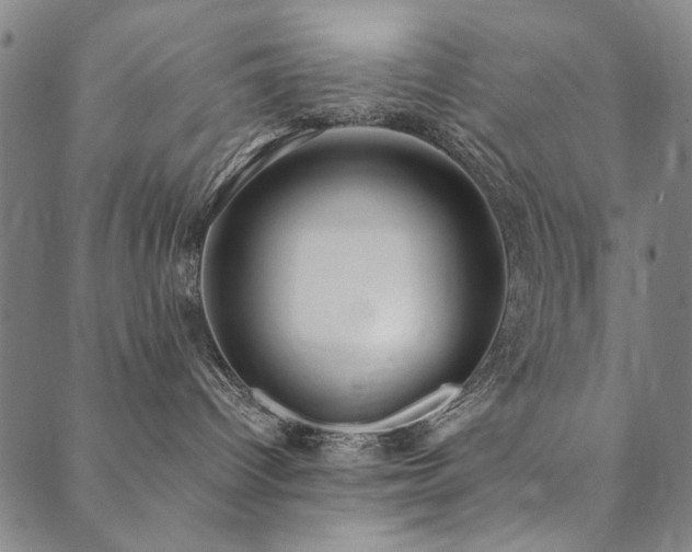 X0000090450096200707131239
