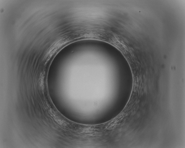 X0000090450098200707131238