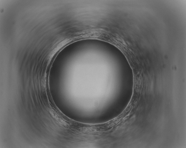 X0000090450100200707131238