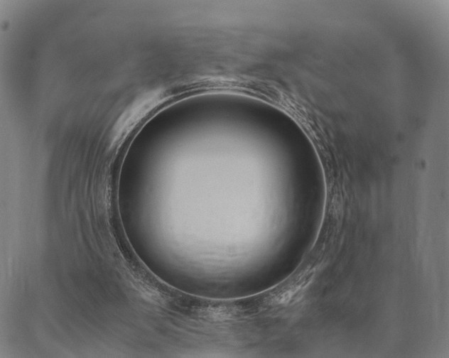 X0000090450103200707131238