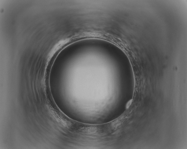 X0000090450104200707131238