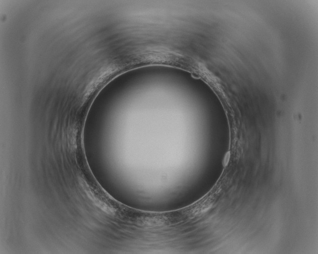 X0000090450106200707131238