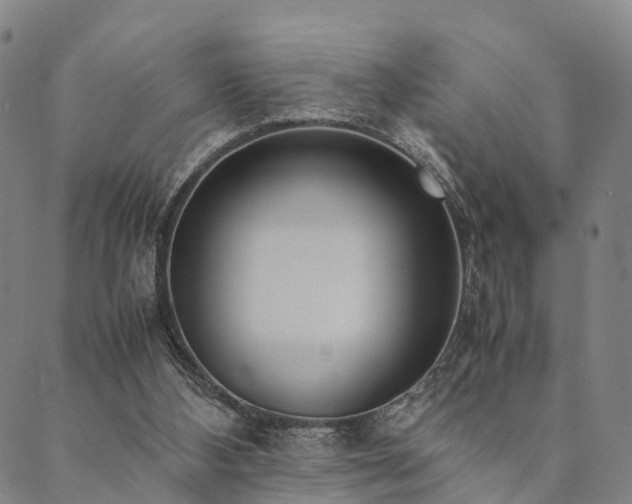 X0000090450108200707131238