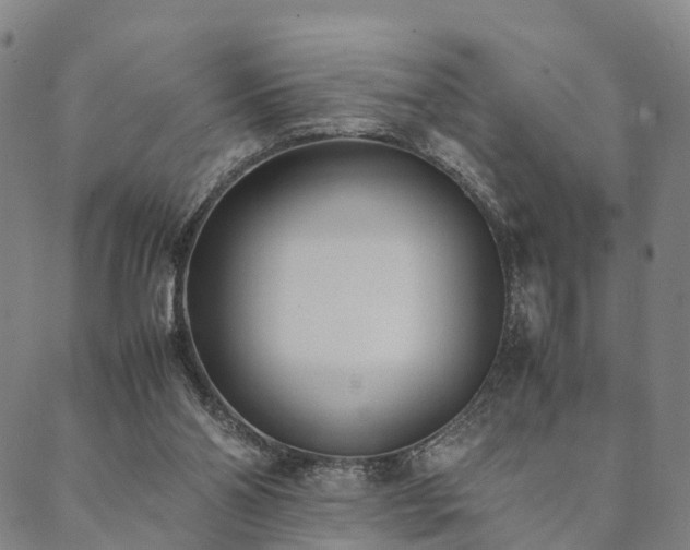 X0000090450110200707131238