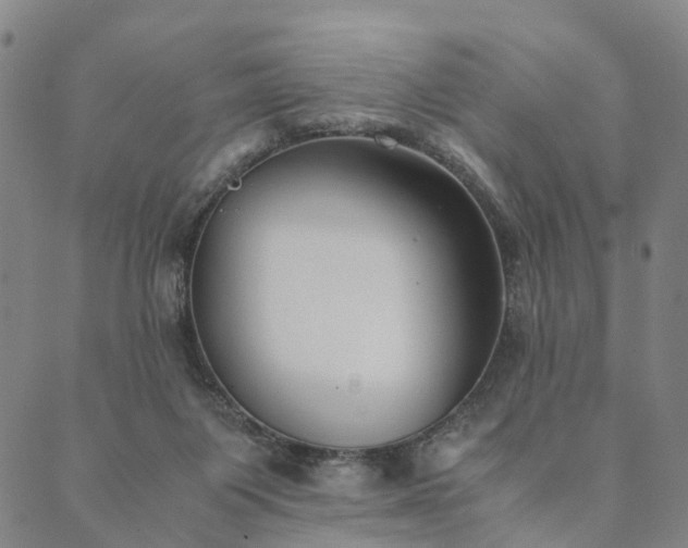 X0000090450119200707131238