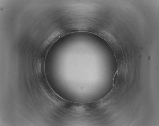 X0000090450120200707131238