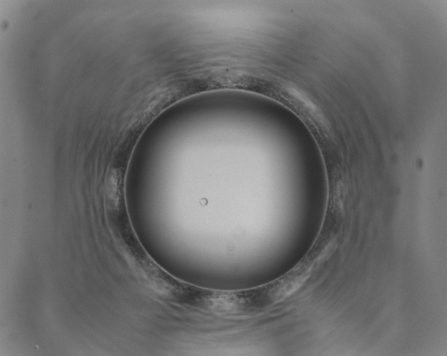 X0000090450121200707131238