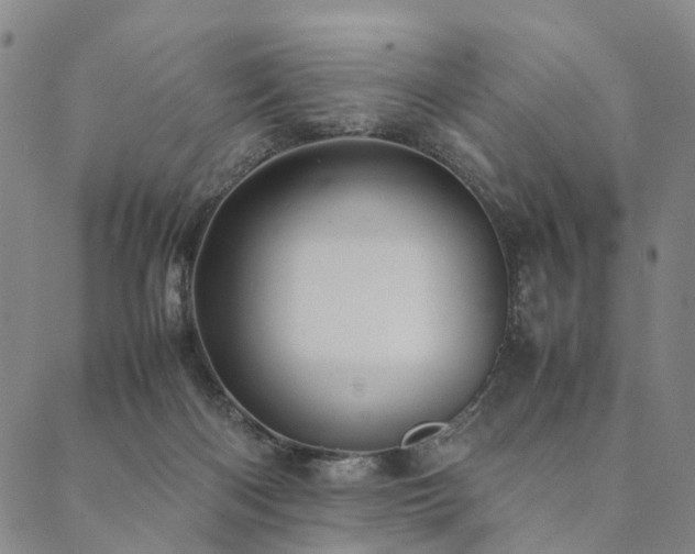 X0000090450122200707131238