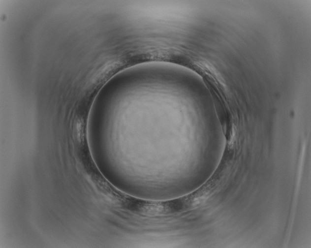 X0000090450123200707131238