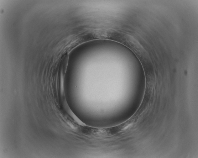 X0000090450125200707131238