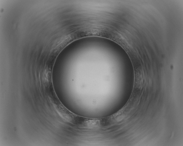X0000090450126200707131238