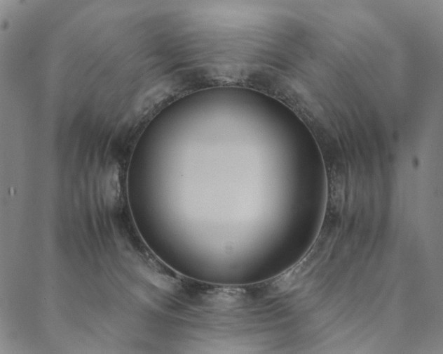 X0000090450128200707131238