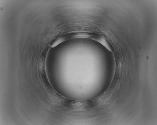 X0000090450129200707131238