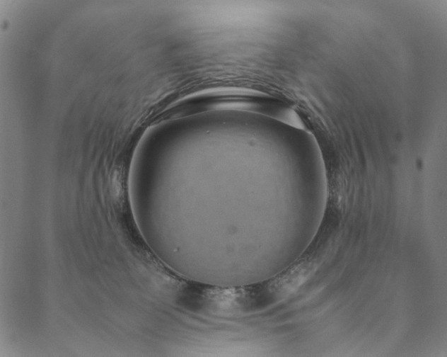 X0000090450131200707131238