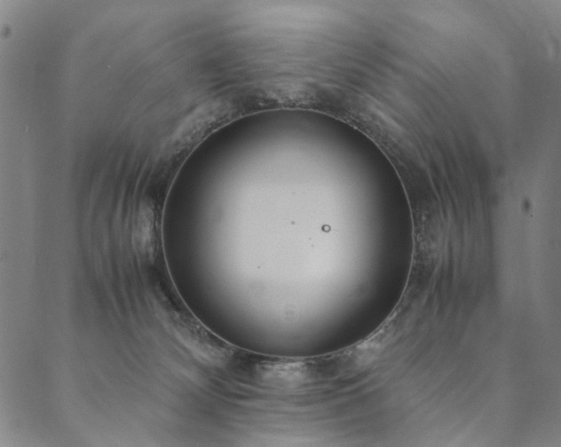 X0000090450132200707131238