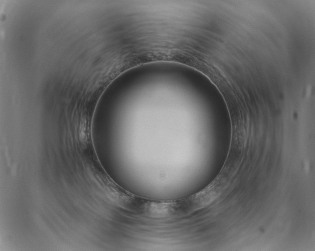 X0000090450134200707131238