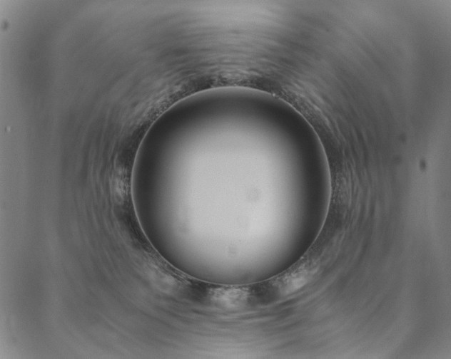 X0000090450135200707131238