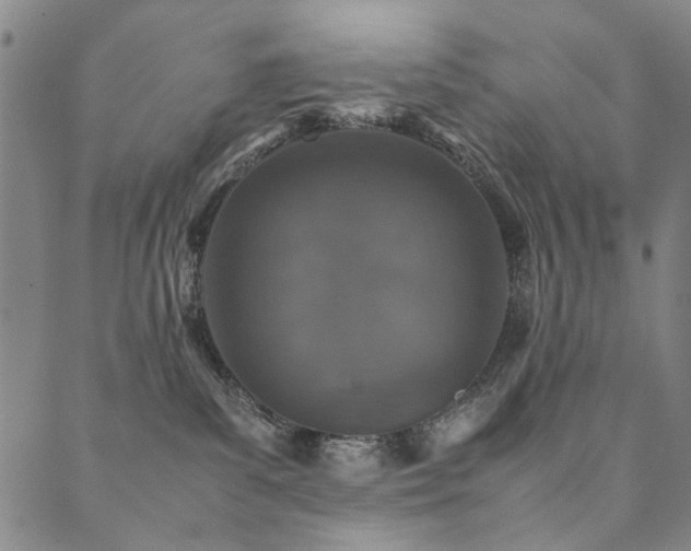 X0000090450139200707131238